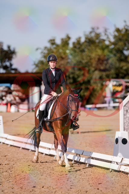 2026_10_03_Siefer-Hof_115425_Z81_93491491 | Professionelle Reitsport-, Turnier- und Eventfotografie von Robert Broda. Galerien mit ausgewählten und bearbeiteten Bildern direkt online ansehen und bestellen.