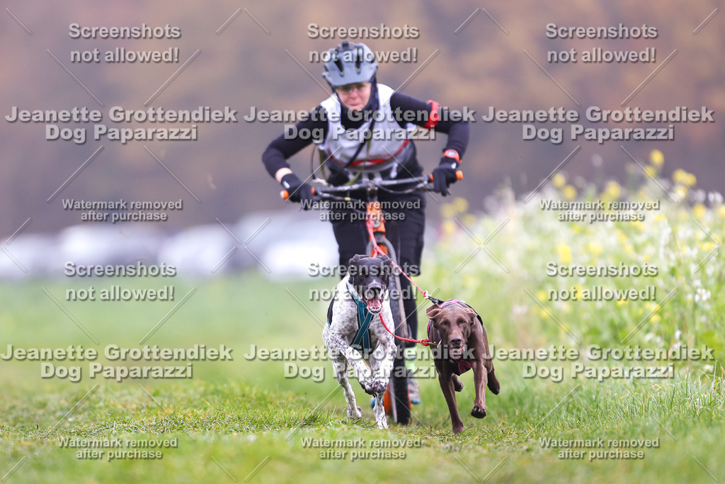 Dog Paparazzi - Visbeck 25 -91 | Dog Paparazzi Jeanette Grottendiek Fotografie & Videografie - Realisiert mit Pictrs.com