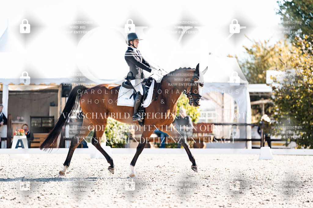 CK908618 | Turnierfotografie Pferdefotografie Trier Rheinland-Pfalz Pferdesport Reitsport Tierfotografie Sportfotografie Pferdevideo Pferdevideografie Equestrianvideography equestrianphotography  - Realisiert mit Pictrs.com