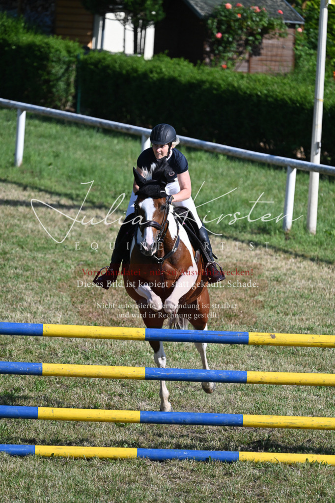 DSC_2387 | Pferde- und Turnierfotografie in Westsachsen. Pferdeportraits, Auftragszeichnungen und intuitive Kunst.