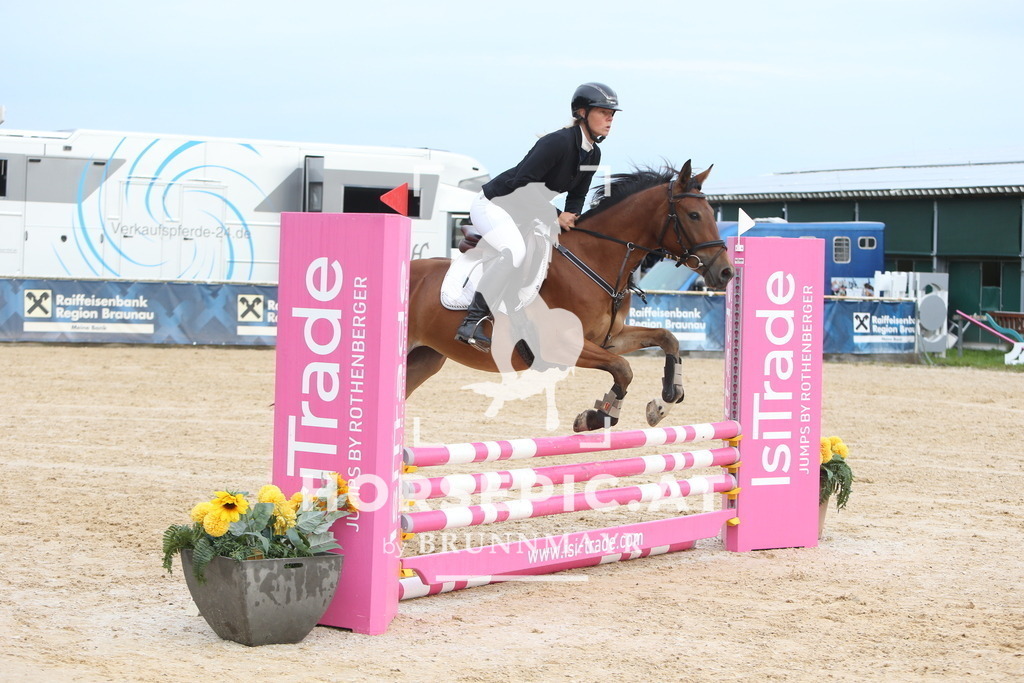 DL2Q0249 | Willkommen bei Brunnmayr - Design & Fotografie – Ihrem Spezialisten für Reitturniere und Pferdeveranstaltungen in Oberösterreich, Salzburg und Bayern! Seit über 17 Jahren sind wir leidenschaftlich dabei.