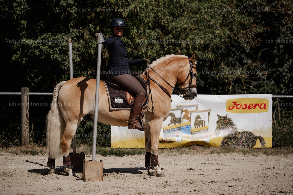 WS_ST_1_stoibphotography_SO10590 | working equitationturnier fotograf videograf stoibphotography marixx film working equitation deutschland reitsport turnierfotografie eventfotografie equestrian events