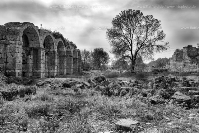 Baum und Ruinen in Perge | Foto der antiken Stadt Perge in der Türkei