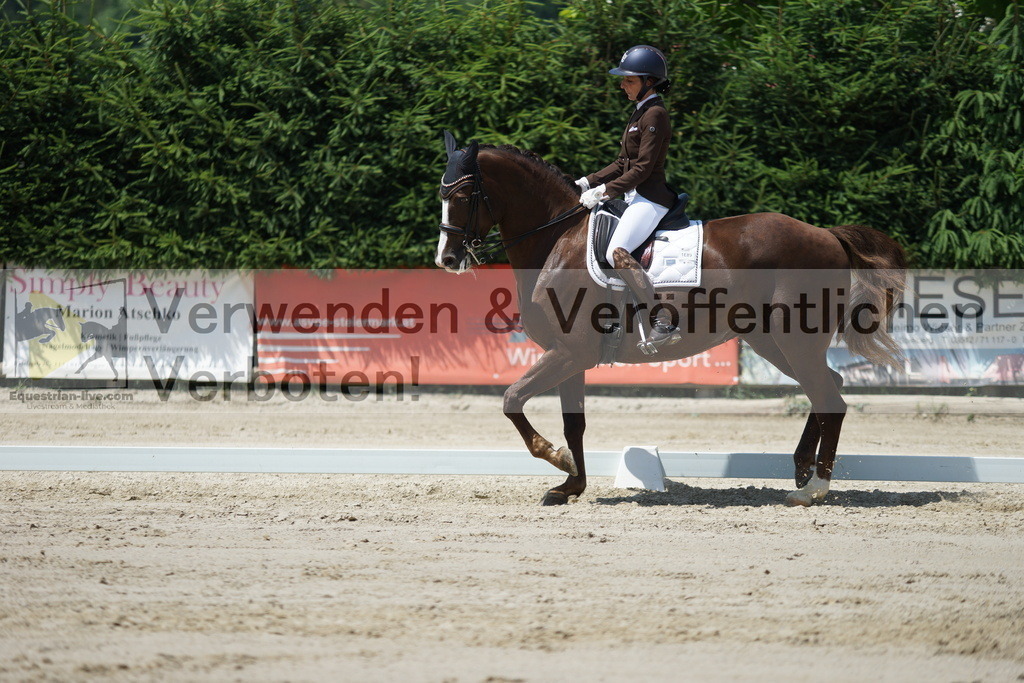 DSC05061 | equestrian-live-com
