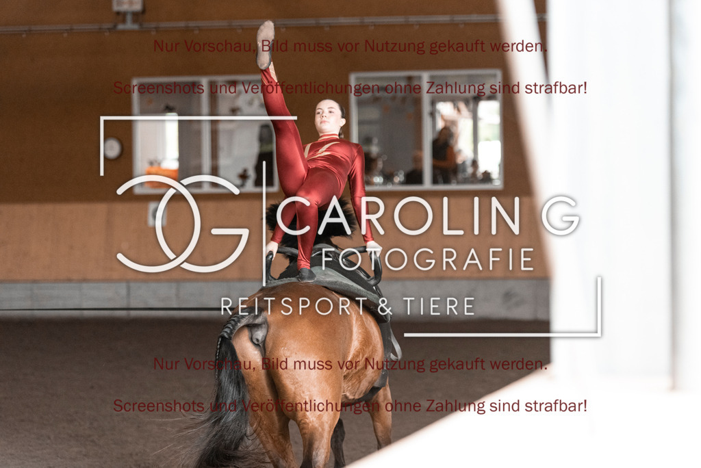 DSC_2008 | Turnierfotografin Carolin Gieschke,Reitsport Turnierfotografie Carolin G Fotografie | Turnierfotos aus Kirchheim/Teck, Esslingen, Stuttgart und dem Bodenseekreis