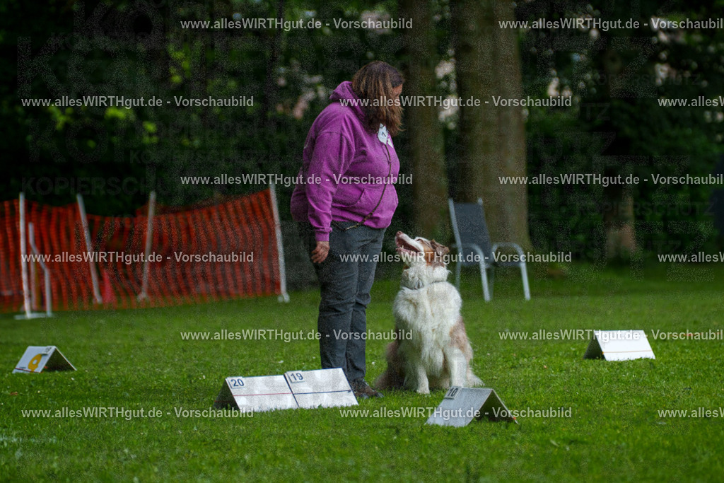 @allesWIRTHgut_Tierfotografie - www.allesWIRTHgut.de - 7R503324 | Professionelle Tierfotografie in Mönchengladbach von Daniel Wirth (allesWIRTHgut). Liebevolle & natürliche Bilder von Hunden & Katzen für unvergessliche Erinnerungen.