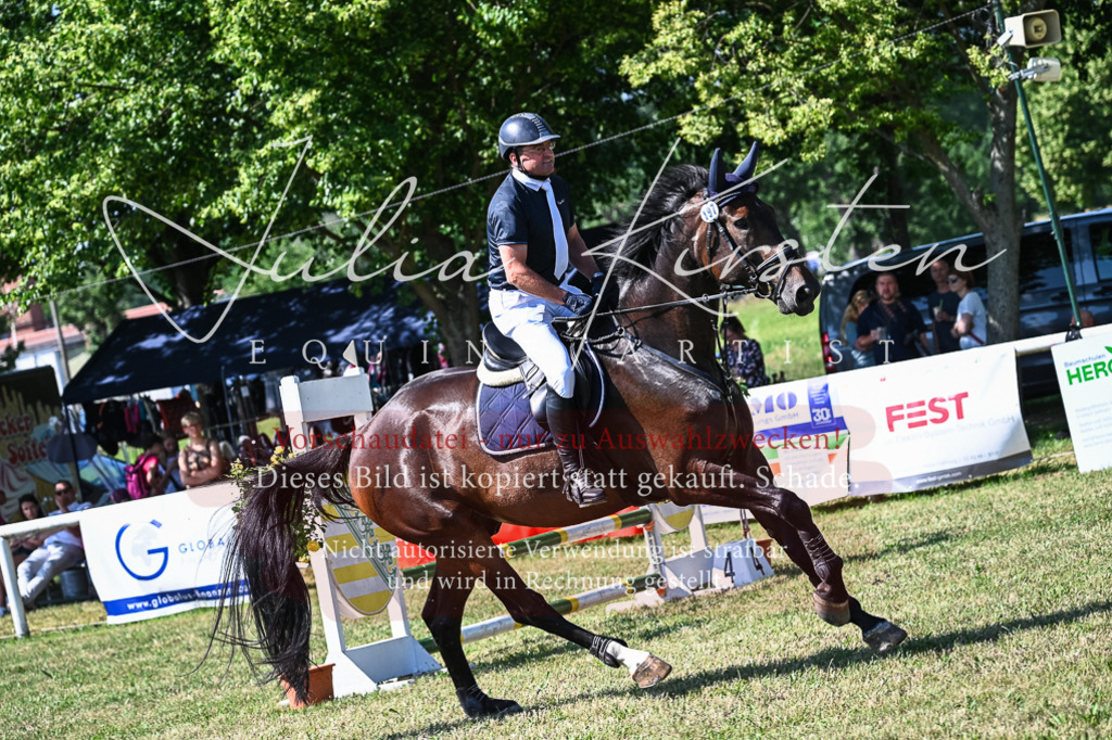 DSC_1704 | Pferde- und Turnierfotografie in Westsachsen. Pferdeportraits, Auftragszeichnungen und intuitive Kunst.