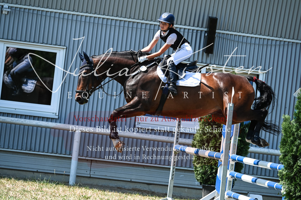 DSC_0532 | Pferde- und Turnierfotografie in Westsachsen. Pferdeportraits, Auftragszeichnungen und intuitive Kunst.