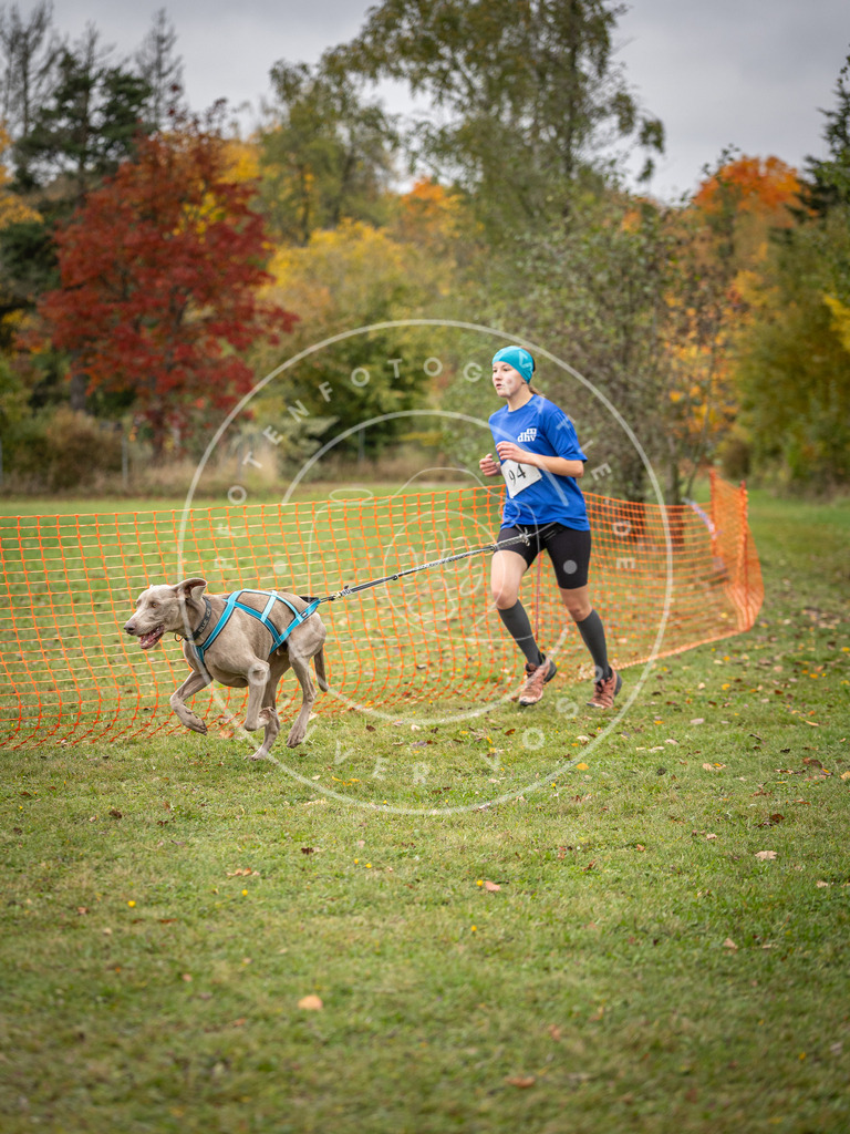 Pfotenfotografie_DV3A3303 | Hundefotografie, Tierfotograf, Pfotenfotografie, Fotoshooting Hund, Hunde Portrait, Hundesport, Hundeportraits, Heideshooting, Hunde, Sportfotograf, Hundefotograf, Turnierhundsport, THS,  - Realisiert mit Pictrs.com