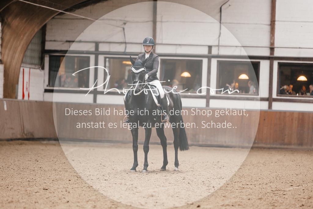 3I6A8327 | Stimmungsvolle Portraits und Reitsportfotografie im Ruhrgebiet und im Münsterland.

Pferdefotografie, Hundefotografie, Tierfotografie, Reportagen, Portraits von Tier und Mensch, Turnierfotografie in Bochum, Recklinghausen, Marl, Haltern am See, Dülmen.. - Realisiert mit Pictrs.com