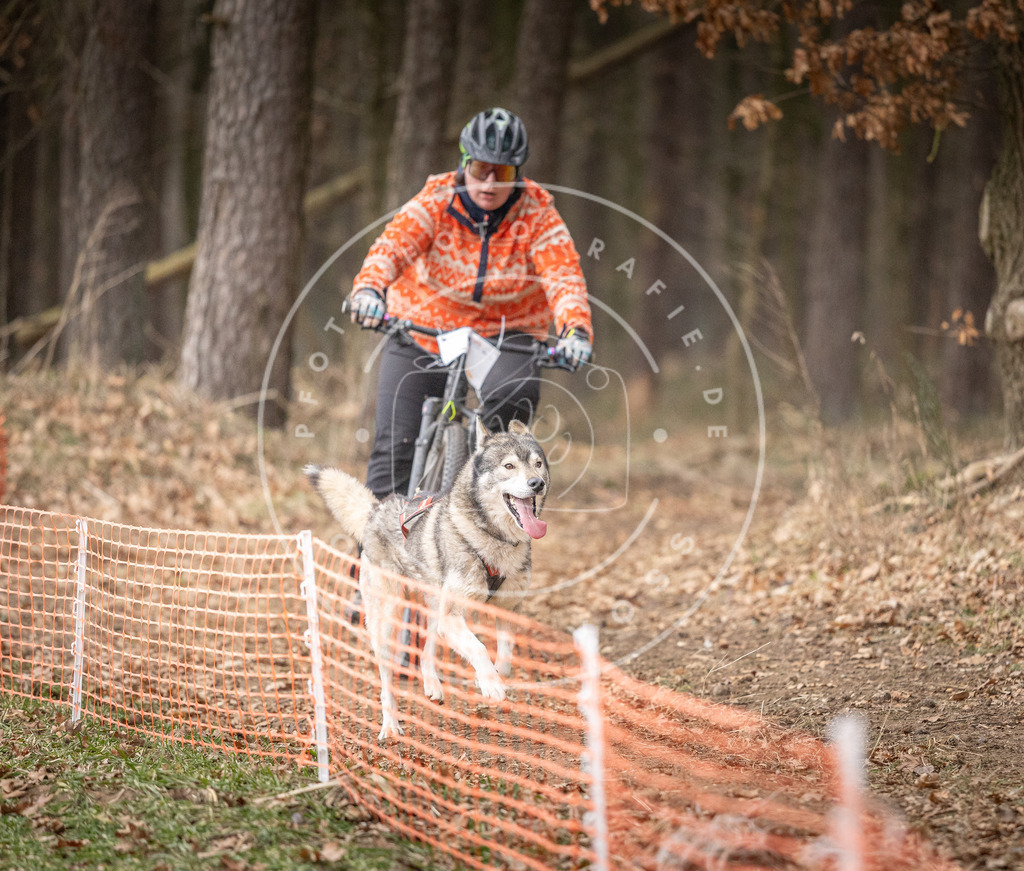 Pfotenfotografie_DV3A1671 | Hundefotografie, Tierfotograf, Pfotenfotografie, Fotoshooting Hund, Hunde Portrait, Hundesport, Hundeportraits, Heideshooting, Hunde, Sportfotograf, Hundefotograf, Turnierhundsport, THS,  - Realisiert mit Pictrs.com