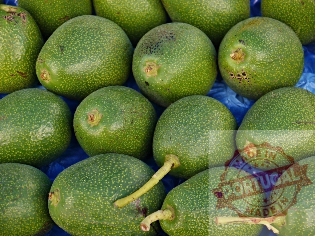 Fresh green avocados displaying natural texture and color | Ripe green avocados piled on a blue surface, showing healthy food and agriculture - Realized with Pictrs.com