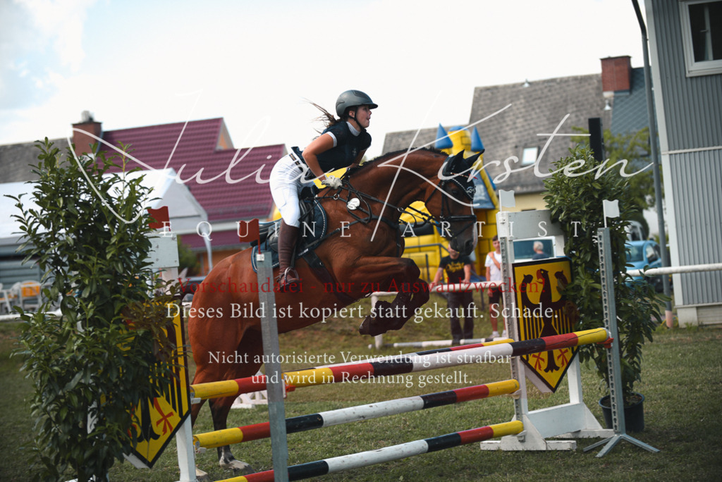 DSC_6469 | Pferde- und Turnierfotografie in Westsachsen. Pferdeportraits, Auftragszeichnungen und intuitive Kunst.