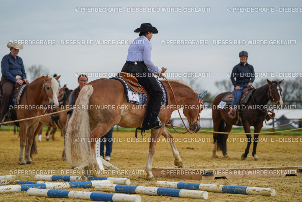 DSC02458 | Pferdegrafie