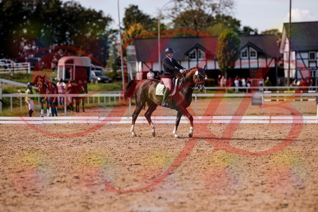 2026_10_03_Siefer-Hof_132514_Z81_74739614 | Professionelle Reitsport-, Turnier- und Eventfotografie von Robert Broda. Galerien mit ausgewählten und bearbeiteten Bildern direkt online ansehen und bestellen.