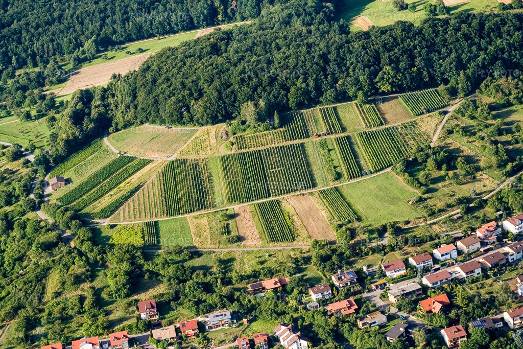 Luftbild: Weinberge im Ortsteil Dietlingen in Keltern im Bundesland Baden-Württemberg in Deutschland. Foto: IMG_12379.jpg vom 05.08.2008 durch Werner Riehm/FLY-FOTO.de