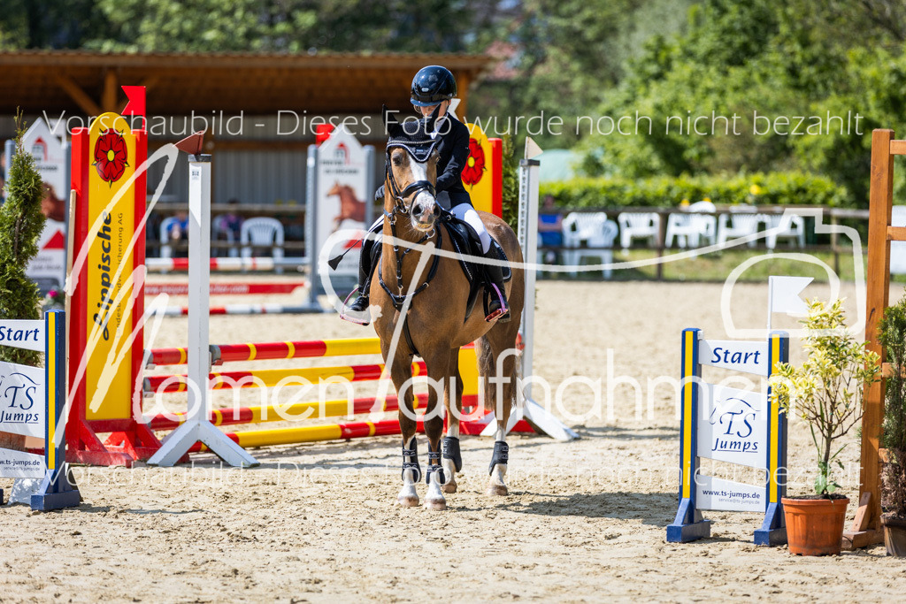 Donop24-SprRW-009 | MomenTaufnahmen Pferdesportfotos