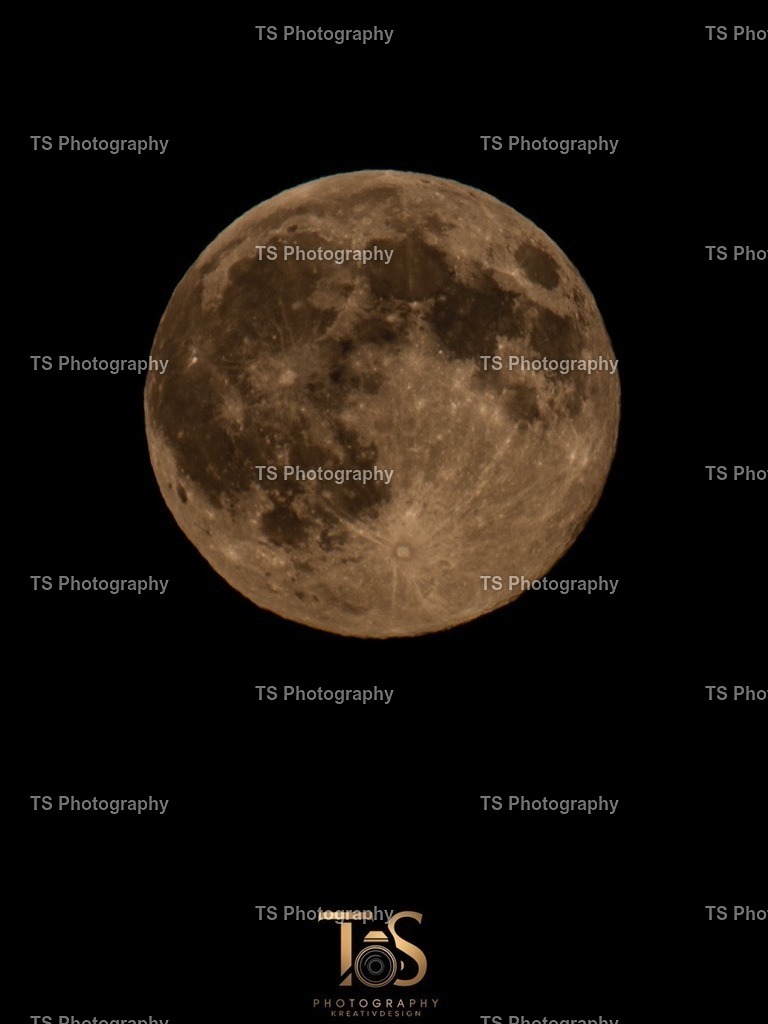 4388A5B6-2CCC-491B-8E9E-26895231D628 | TS Photography - Realisiert mit Pictrs.com