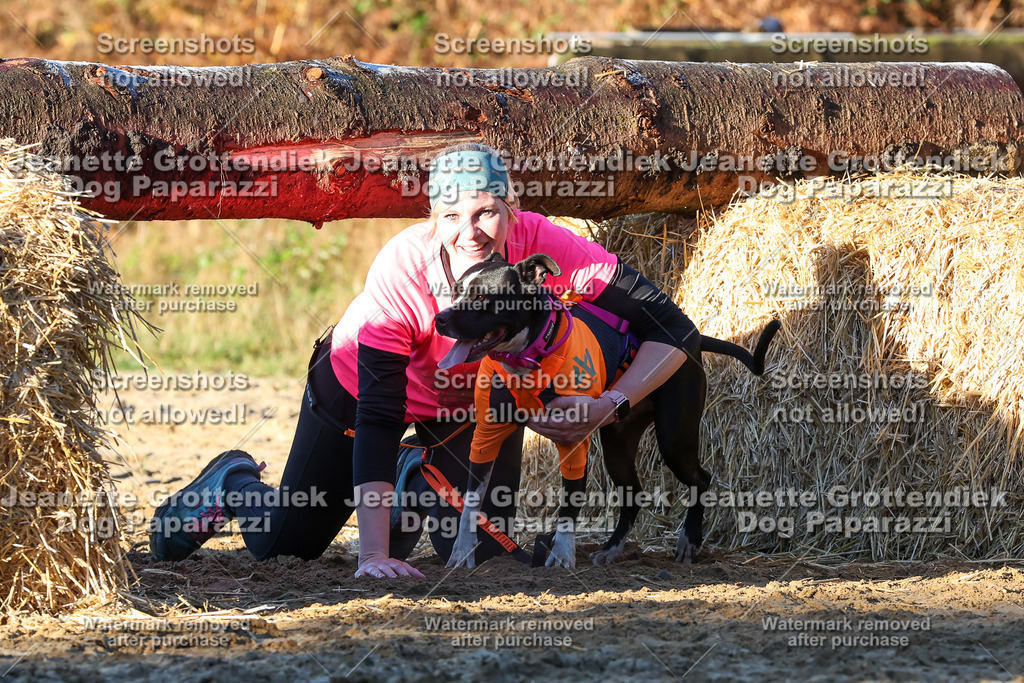 Dog Paparazzi - Strongdog 10-25-857 | Dog Paparazzi Jeanette Grottendiek Fotografie & Videografie - Realisiert mit Pictrs.com