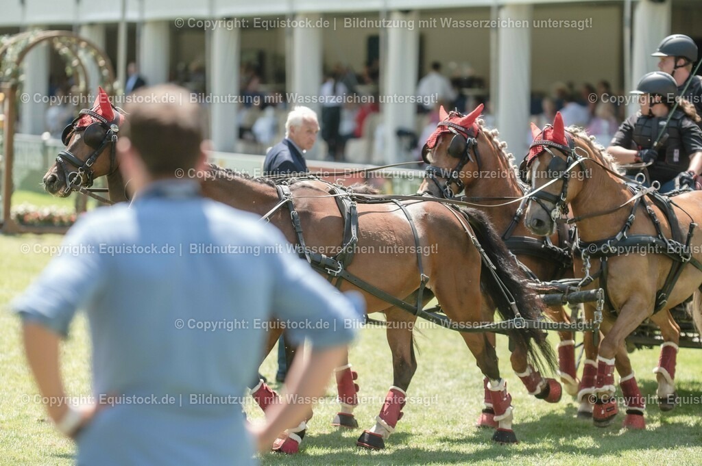 20230528_Jump-and-Drive_0043 | equistock