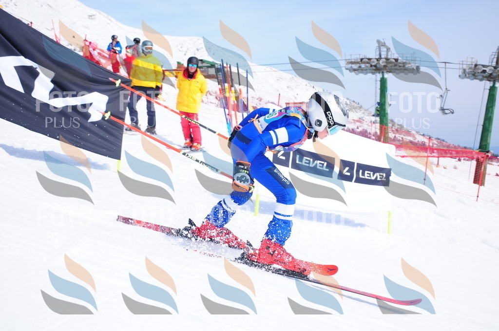 DSC_3330 | holidayphoto