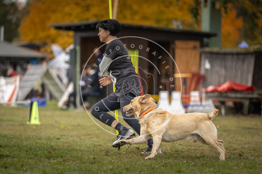 Pfotenfotografie_DV3A6801 | Hundefotografie, Tierfotograf, Pfotenfotografie, Fotoshooting Hund, Hunde Portrait, Hundesport, Hundeportraits, Heideshooting, Hunde, Sportfotograf, Hundefotograf, Turnierhundsport, THS,  - Realisiert mit Pictrs.com