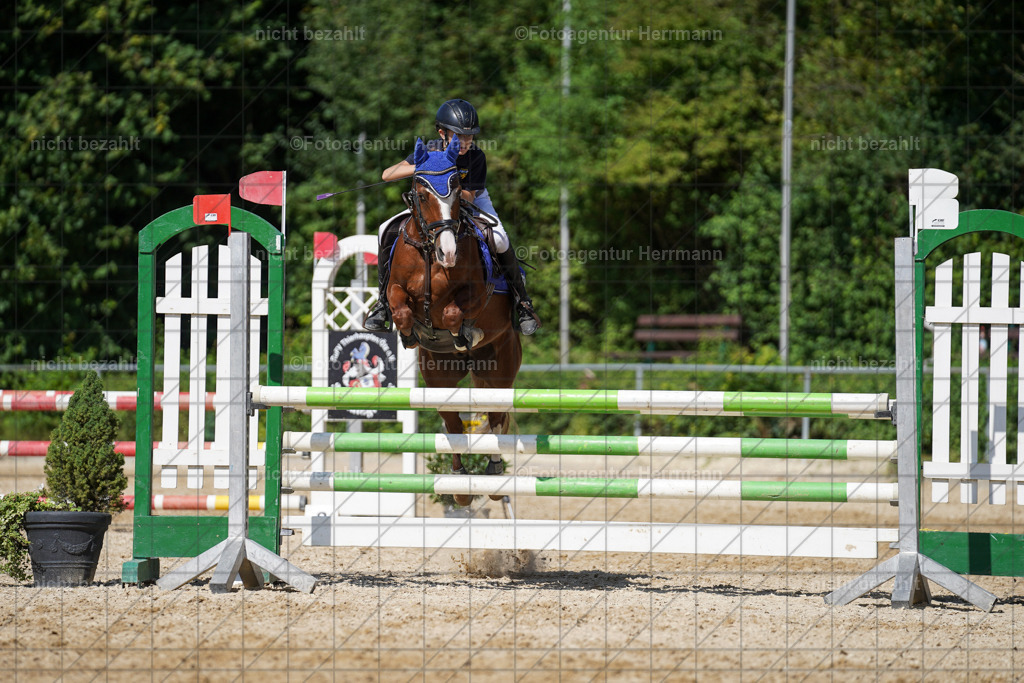 20240824-FAH08328 | Thierhaupten 2024, Bayerisches Landesponyturnier, Turnierbilder, Ponybilder, Turnierfotografen Bayern, Fotoagentur Herrmann
