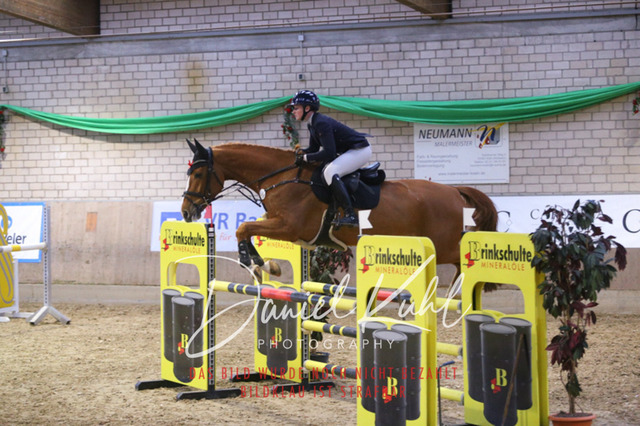 IMG_0932 | Turnierfotos kaufen im Webshop von Daniel Kuhl Photography – entdecke professionelle Reitsportfotos aus Turnieren & Events. Hochwertige Turnierbilder online bestellen & sichern. Jetzt Fotos von Reitsportturnieren kaufen!
