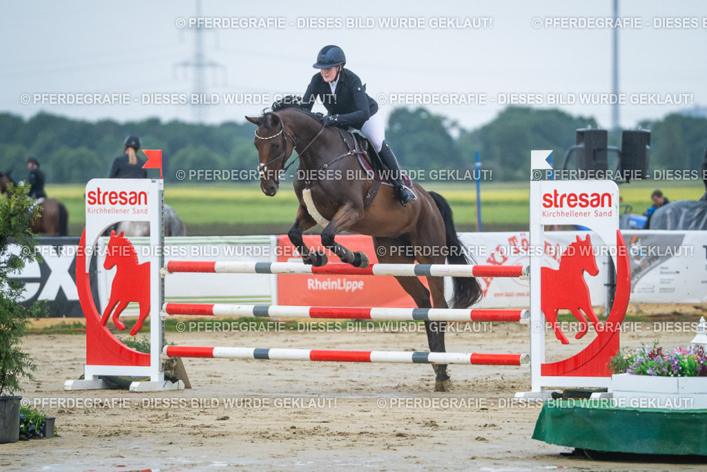 DSC04202 | Pferdegrafie