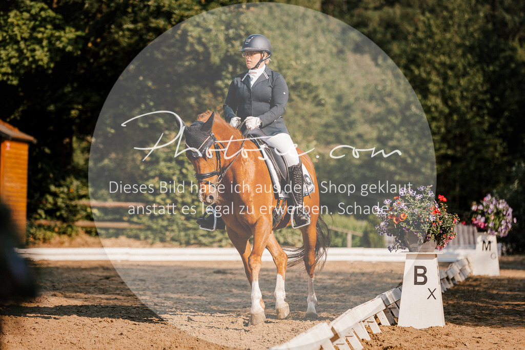 3I6A8740 | Stimmungsvolle Portraits und Reitsportfotografie im Ruhrgebiet und im Münsterland.

Pferdefotografie, Hundefotografie, Tierfotografie, Reportagen, Portraits von Tier und Mensch, Turnierfotografie in Bochum, Recklinghausen, Marl, Haltern am See, Dülmen.. - Realisiert mit Pictrs.com