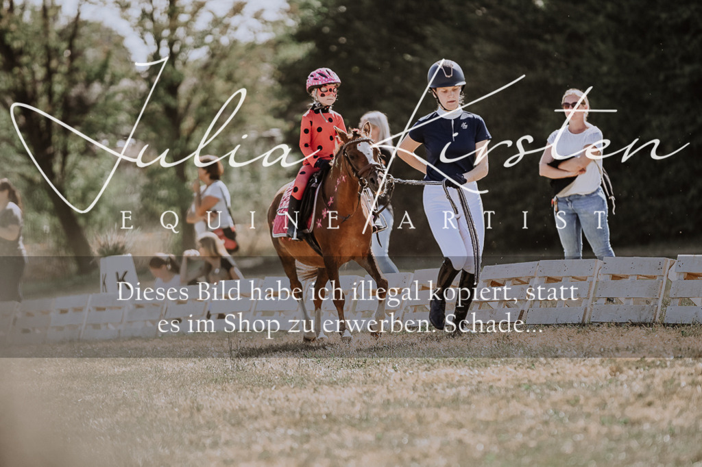 DSC_8908 | Pferde- und Turnierfotografie in Westsachsen. Pferdeportraits, Auftragszeichnungen und intuitive Kunst.