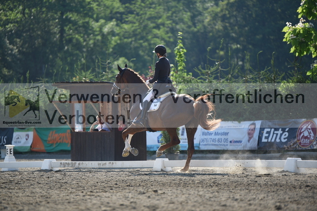 DSC_2890 | equestrian-live-com