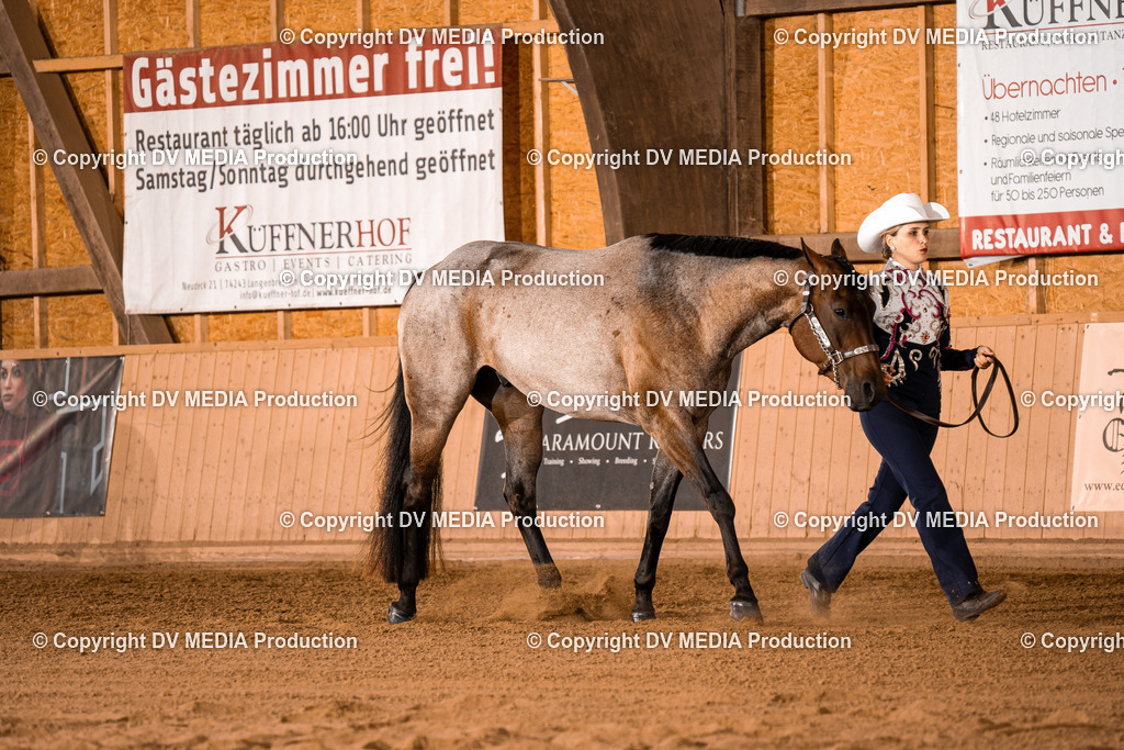 NE100059 | dv-media-shop - Realisiert mit Pictrs.com