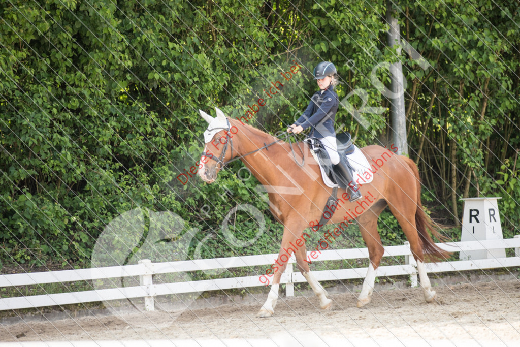 IMG_3391 | Sport-, Event- und Tierfotos in Profiqualität. Einfach auswählen, bestellen und herunterladen. Dein Moment – perfekt festgehalten.