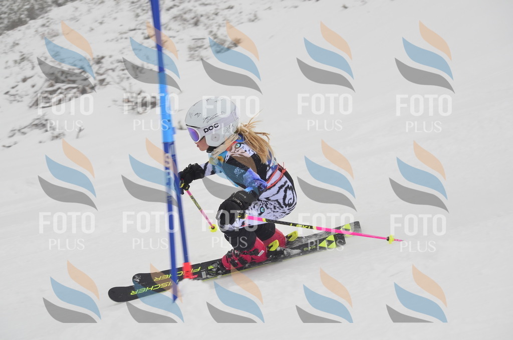 C1154 | holidayphoto