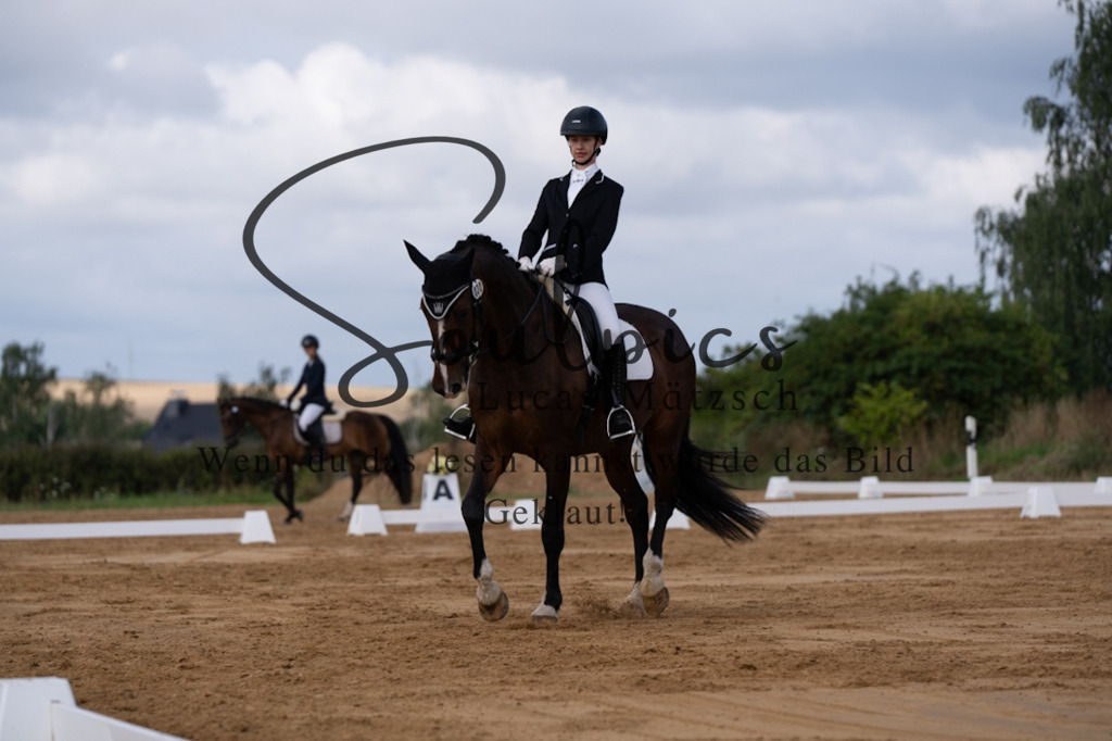 A7V05180 | Pferdefotograf