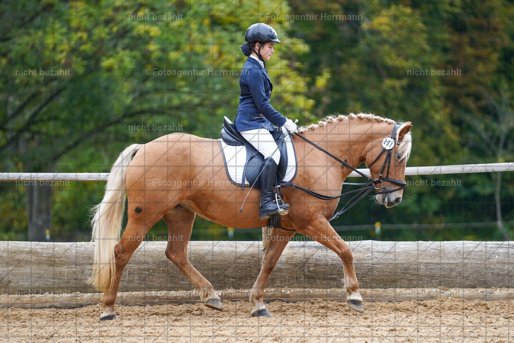 20221008-FAH01397 | Diessen am Ammersee, 2022, Dressur- und Springturnier, Reitsportbilder, Turnierfotografen Bayern, Pferdefotografen, Fotoagentur Herrmann, Turnierbilder