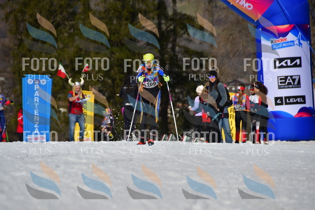 _DSC0553 | holidayphoto