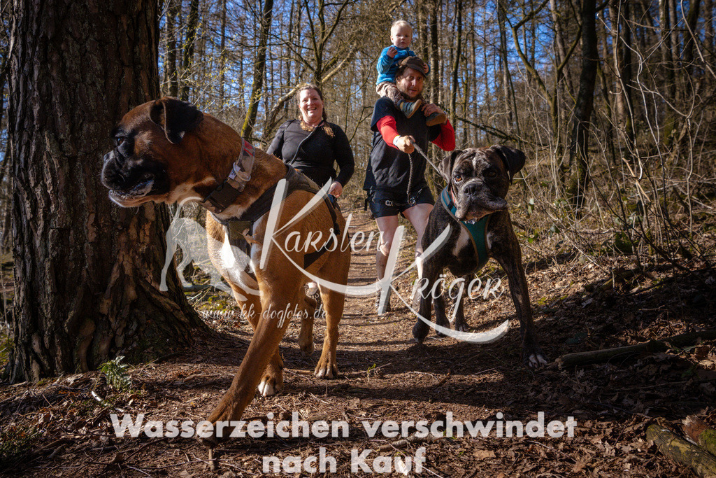 0945_ZZ99785 | kk-dogfotos