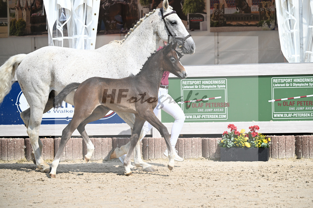 Dia Corrado x Carpalo_HF_Stierle_12250285 | hf-fotografie - Realizzato con Pictrs.com