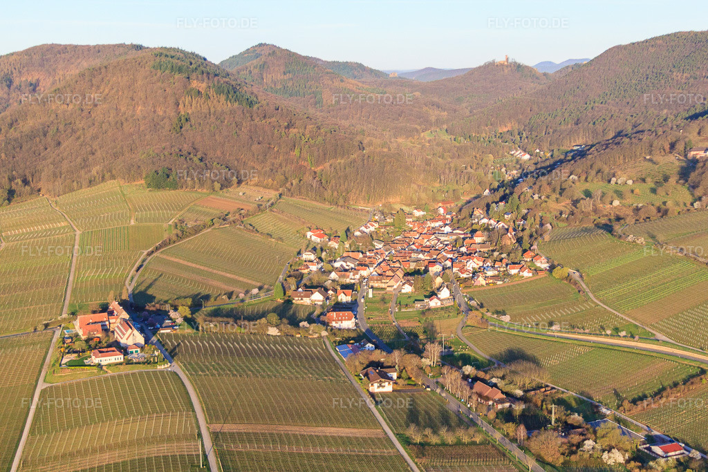 Luftbild: Winzerdorf im Morgenlicht aus Osten in Leinsweiler im Bundesland Rheinland-Pfalz in Deutschland. Foto: IMG_63124.jpg vom 20.03.2014 durch Werner Riehm/FLY-FOTO.de