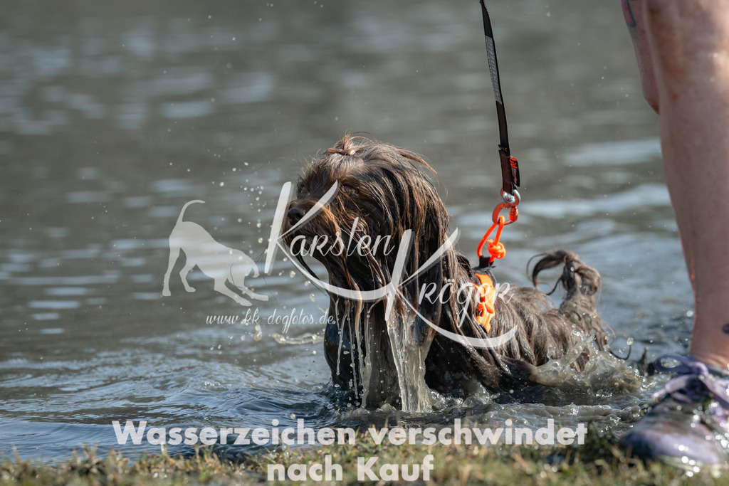1257_ZZ93150 | kk-dogfotos