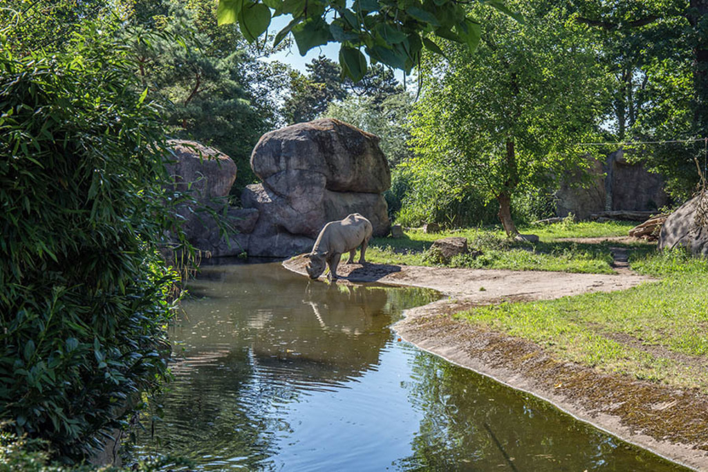 Foto: Leipzig - Zoo | Das Team hinter BILDLEXIKON LEIPZIG bündelt historische wie aktuelle Informationen über die Stadt Leipzig in Text und Bild auf einer Plattform und stellt diese der interessierten Öffentlichkeit zur Verfügung.