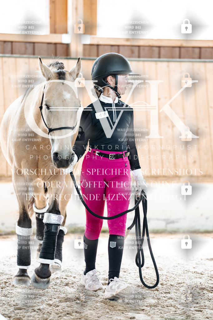 CK907206 | Turnierfotografie Pferdefotografie Trier Rheinland-Pfalz Pferdesport Reitsport Tierfotografie Sportfotografie Pferdevideo Pferdevideografie Equestrianvideography equestrianphotography  - Realized with Pictrs.com