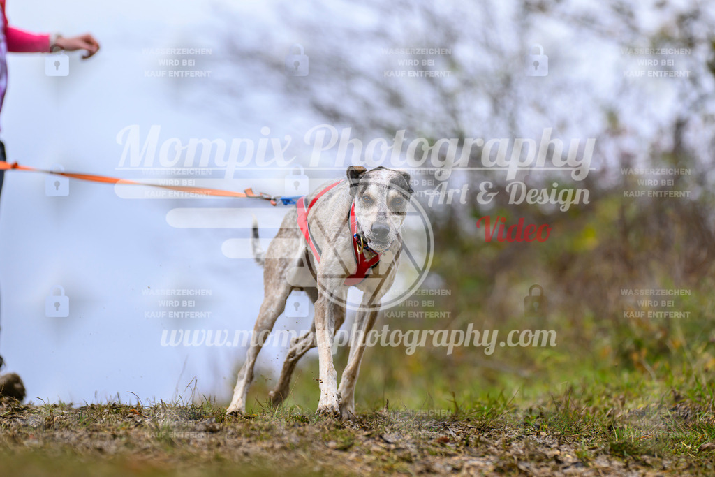 MompixPhotography_2OATB_SO_Run-54 | PayLife