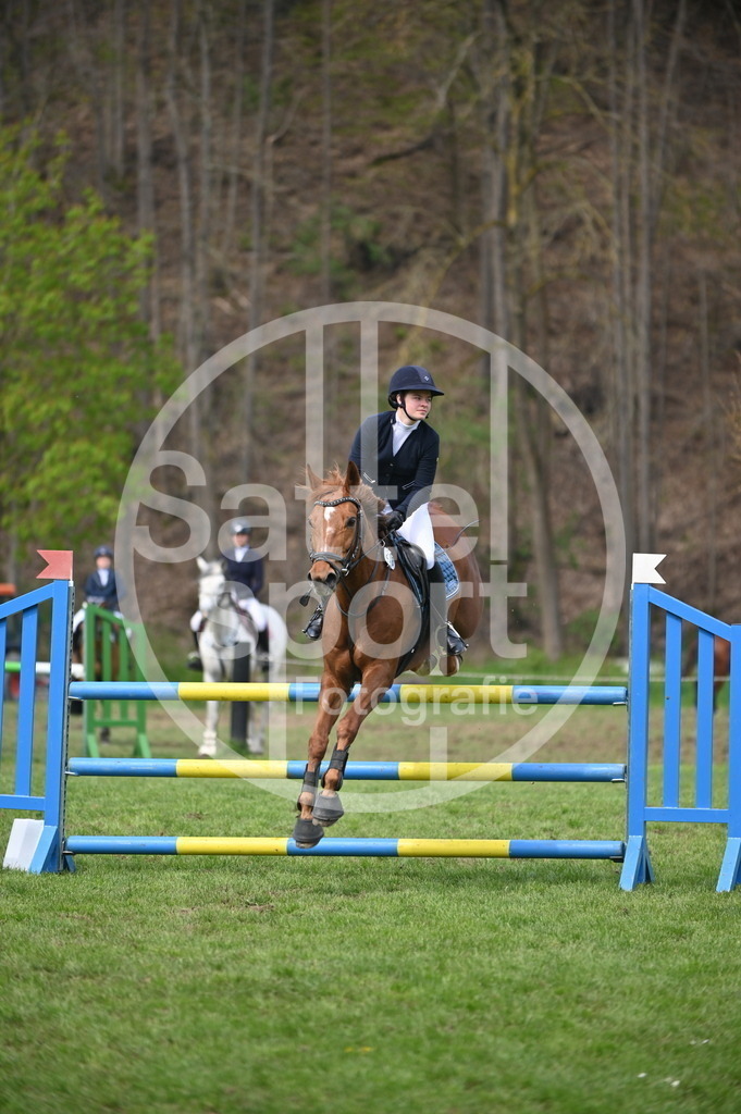 DSC_2451 | sattelsport - Realisiert mit Pictrs.com