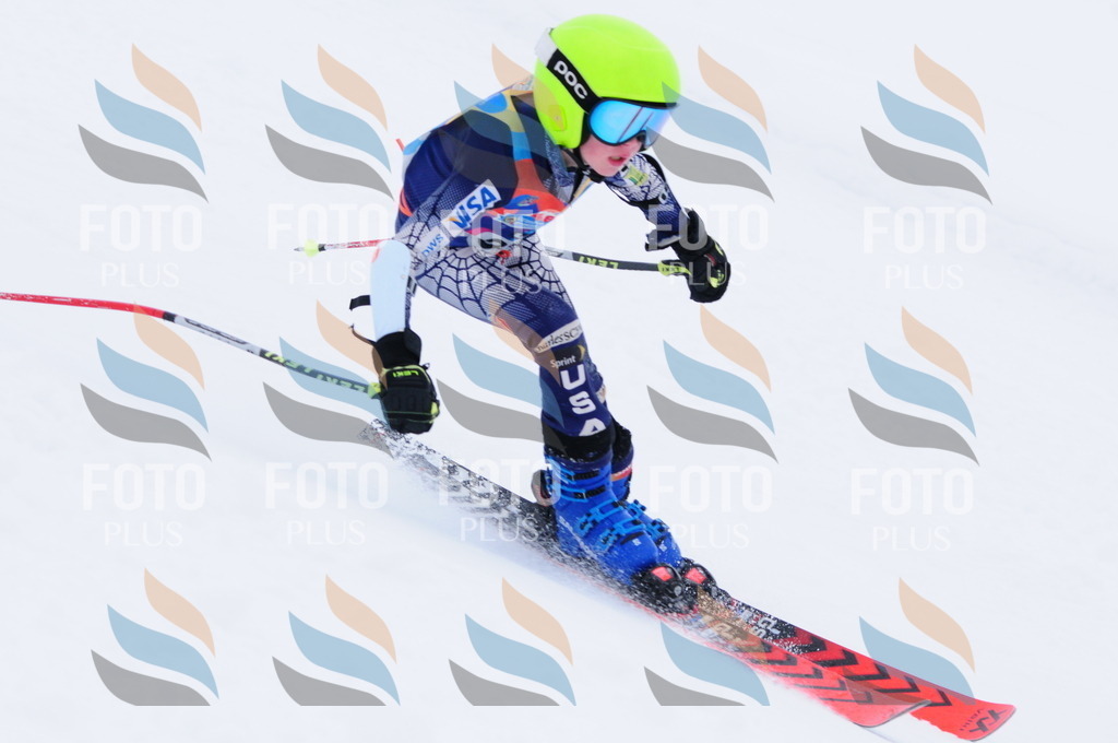 C3287 | holidayphoto