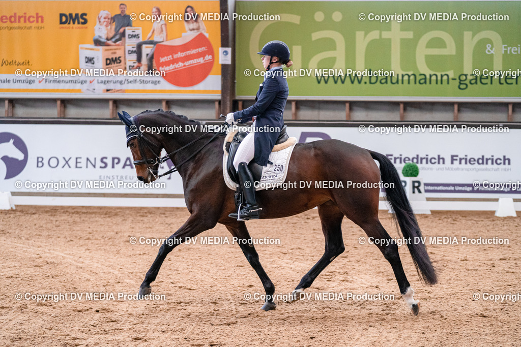 Kranichstein Tag 1-467 | dv-media-shop - Realisiert mit Pictrs.com