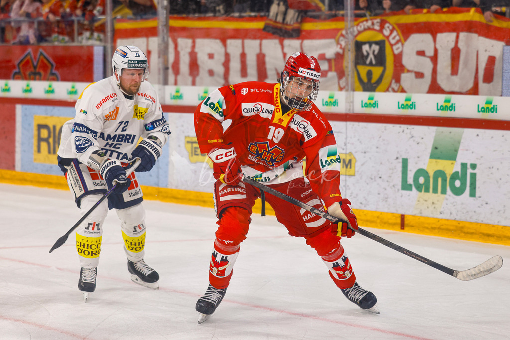EHCB vs HCAP 20260115_wb-4657 | Sportbilder, Sportfotograf, Hochzeits- und Eventfotografin, Flugshows, Portraits und Tiershooting, Aviation, Downhill, Nationalleague, Swissleague, International