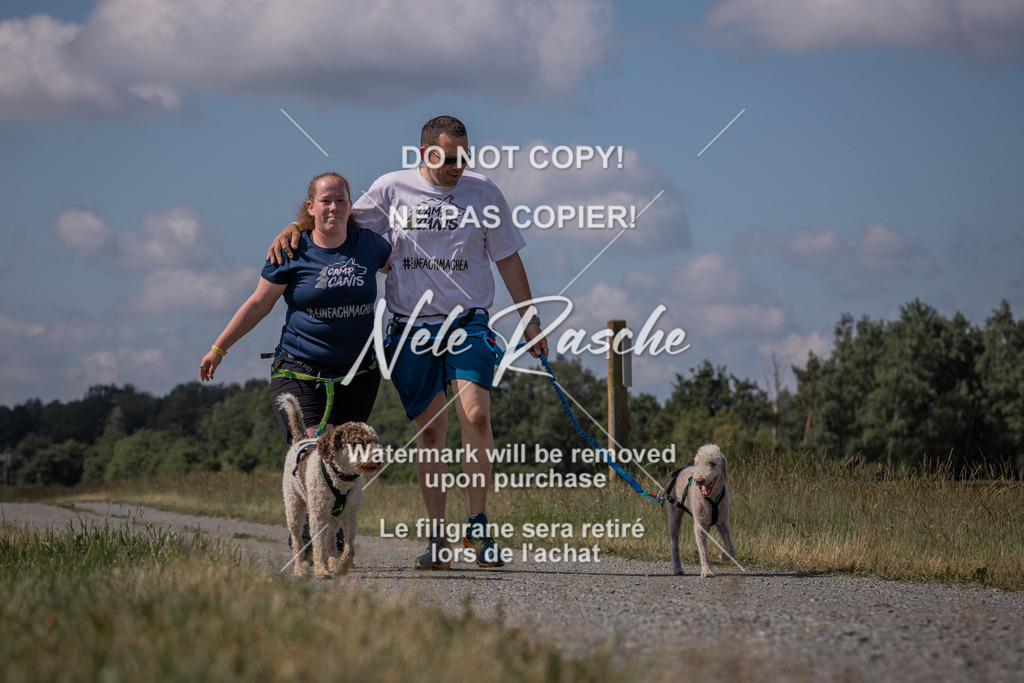 nelerasche_BuHu2026_SaCC10-11_79 | nelerasche